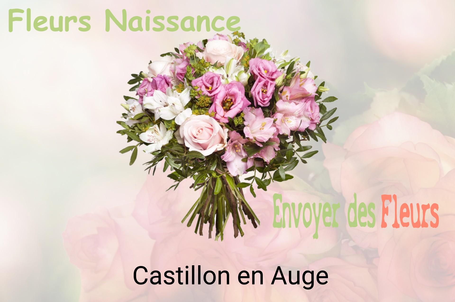 Bouquet de fleurs de naissance livré à Castillon-en-Auge